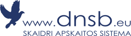 dnsb, skaidri apskaitos sistema logo